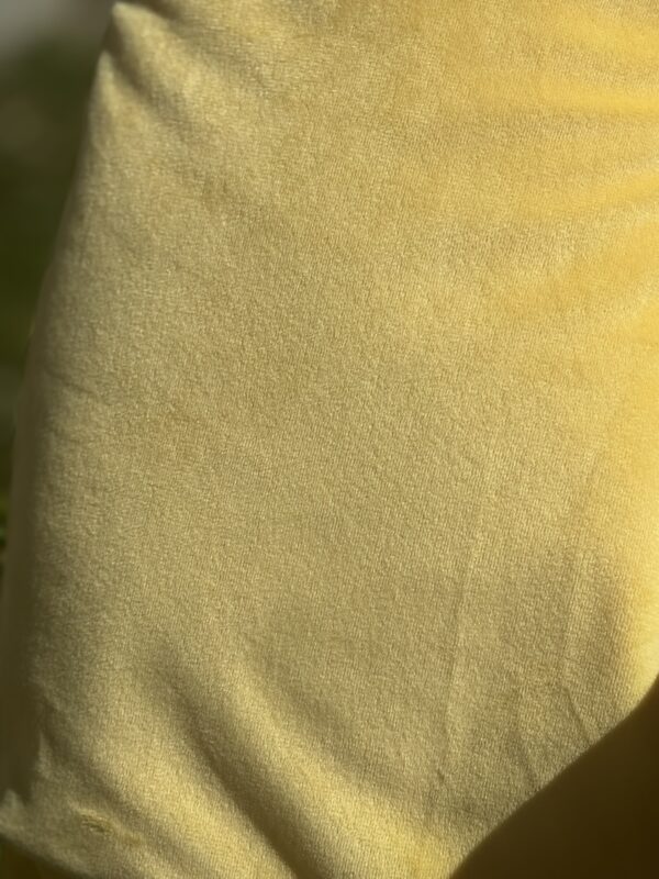 1 1/4 Yard Light Yellow Plush